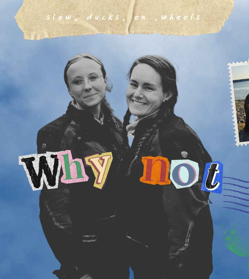 WHY NOT? - Bild